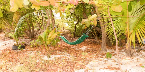 Landscape of the West Indies with a hammock between two palm trees — Stock Photo, Image