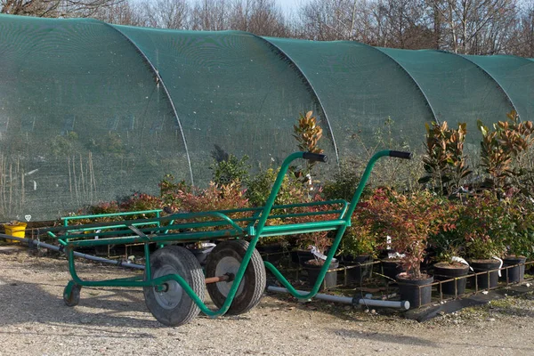 Wagon dengan tanaman di pusat taman komersial — Stok Foto