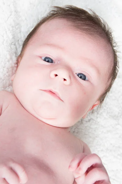 Portrait of a newborn baby lying on a white towel — Stock Photo, Image
