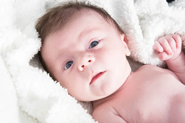 Bebê recém-nascido bonito deitado no algodão — Fotografia de Stock