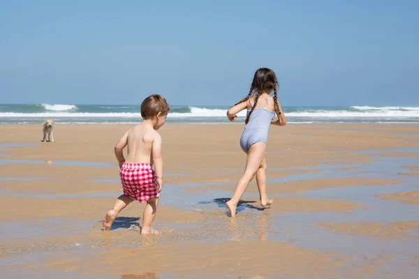 Двоє дітей бігають і грають на піщаному пляжі для літніх канікул — стокове фото