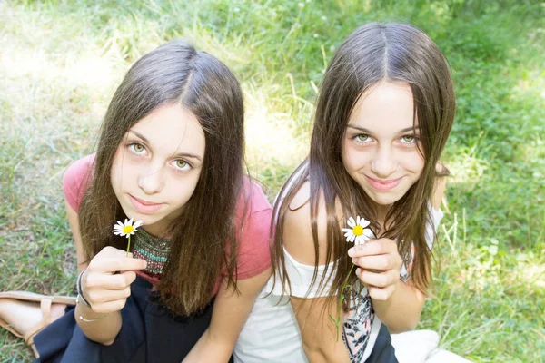 Irmãs Gêmeas Bonitos Sentar Campo Fundo Com Flores Nas Mãos — Fotografia de Stock