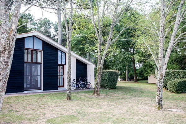 Exterior de la casa del rambler American. Vista de paseo con flor