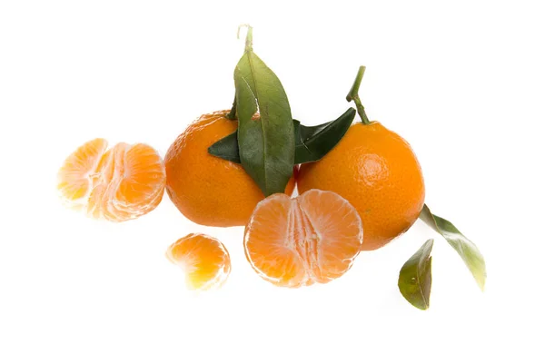Clementinas Tangerinas Com Folhas Apenas Colhidas Sobre Fundo Branco — Fotografia de Stock
