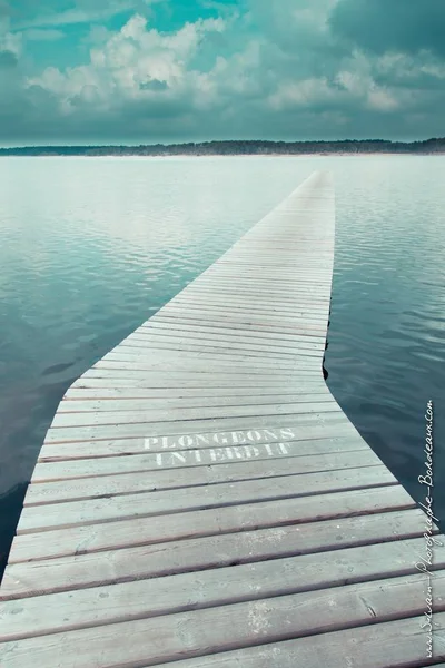 the pontoon on the lake in green cold hues