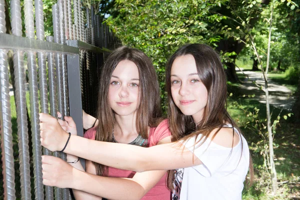Симпатичные Сестры Близнецы Обнимаются Зеленом Саду Парка — стоковое фото