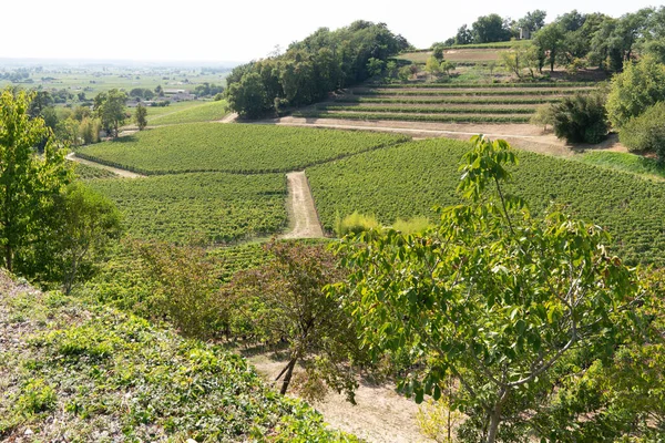 Kopec Saint Emilion Francie Vína Bordeaux — Stock fotografie