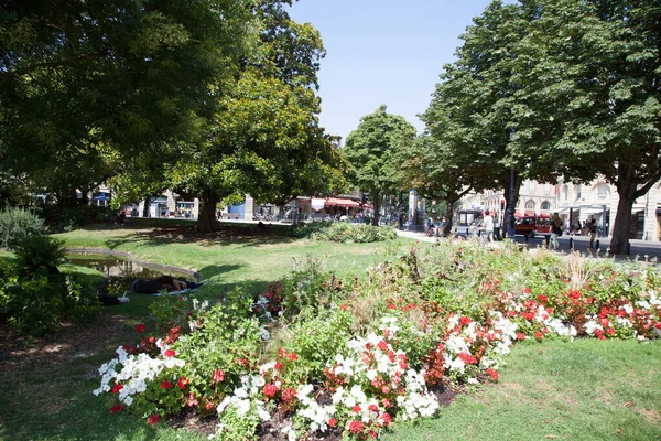 Μπορντό Ακουιτανία Γαλλία 2018 Λουλούδια Κήπος Στην Πλατεία Place Gambetta — Φωτογραφία Αρχείου