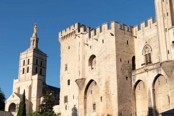 Detalj Syn Palais Des Papes Och Notre Dame Des Doms — Stockfoto