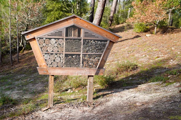 Wooden Insect House Decorative Bug Hotel Ladybird Bee Home House — 스톡 사진