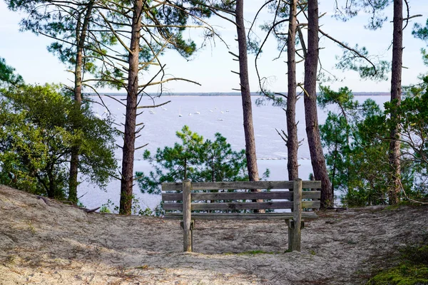 Лавка Під Деревом Видом Озеро Піщаному Пагорбі — стокове фото