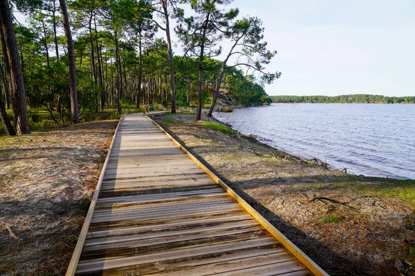 Sendero Vista Lago Camino Madera Terraza Maubuisson Carcans Francia —  Fotos de Stock