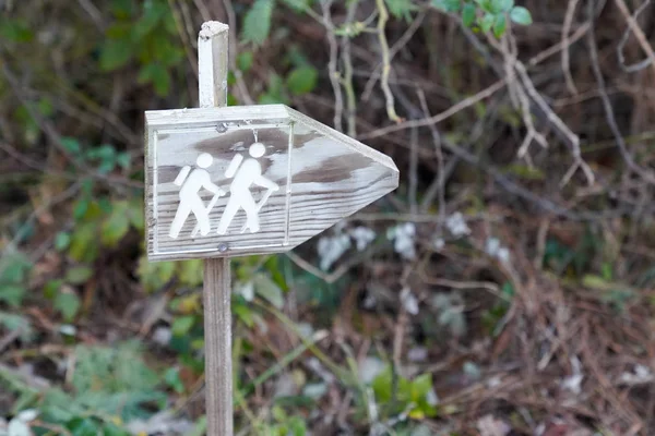 wooden trail sign for hiking in forest park