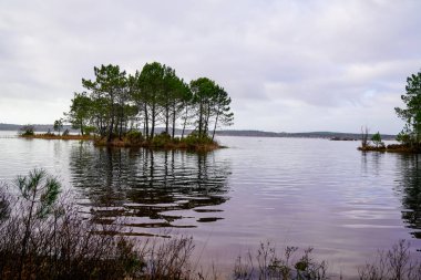 Aquitaine Fransa 'daki Lacanau Gölü' nde kış gündoğumu