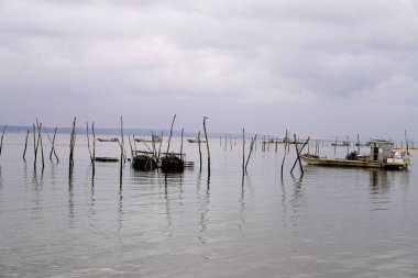 Cap Ferret 'te istiridye çiftliği. Kışın gün doğumunda Herbe köyünde.