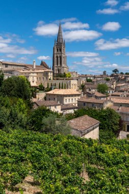Bordeaux yakınlarındaki Saint-Emilion kasabası Fransa 'daki üzüm bağlarıyla çevrili.