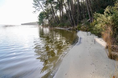 Hourtin köyü Gironde Aquitaine 'deki göl kumsalı.