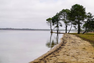 Fransa 'nın Landes bölgesindeki Sanguinet köyünde kumsal gölü