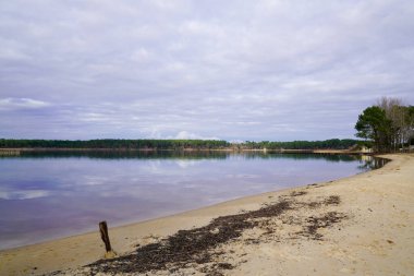 Biscarrosse Gölü Kum Sahili Maguide Landes Fransa