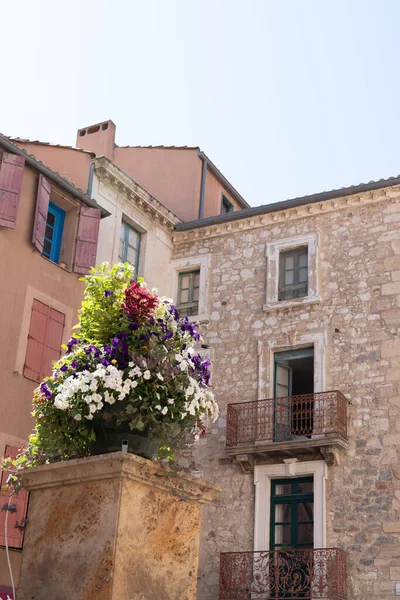 Narbonne Stone House Alte Architektur Mit Blume Stadt Frankreich — Stockfoto