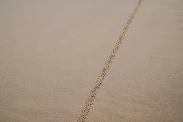砂漠のビーチでバイクの通過によって残された砂の足跡のオートバイの自転車を追跡します — ストック写真