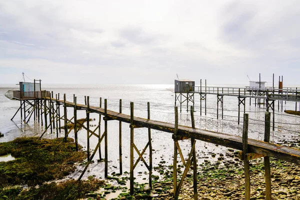 Balıkçı Ahşap Kulübesi Meschers Sur Gironde Fransa — Stok fotoğraf