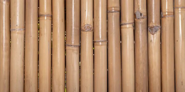 Bamboe Houten Hek Achtergrond Houten Behang — Stockfoto
