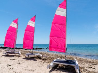 Vendee Fransa 'daki Noirmoutier sahil teknesinde pembe yelkenli kiralayın.