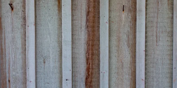 卷曲木木板背景紧贴木质部 — 图库照片
