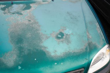 Çürük yeşil boya ve çizik araba tamamen solmuş motor kaputu.