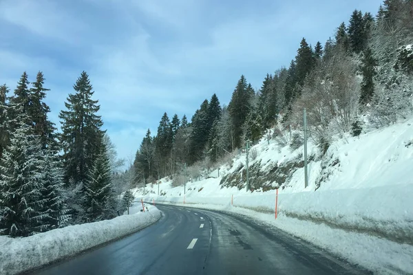 冬の風景雪に覆われた森の道と木 — ストック写真