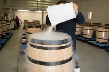 Şarap fıçısı ve kırmızı üzüm adam şarap mahzeninde tazelenmek için kuru buz dumanı koydu.