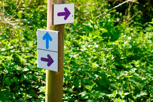 ハイキング道の色の矢印のマークアップ — ストック写真