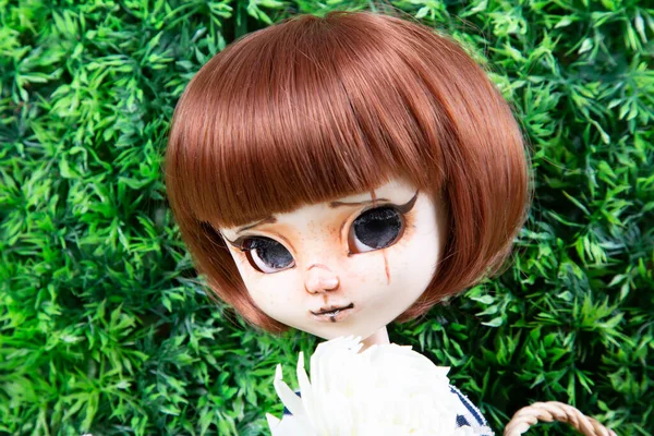 Портрет Куклы Зеленом Фоне — стоковое фото