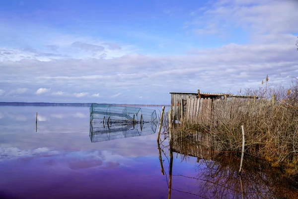 Bird Duck Hunting Trap Morning Wild Sunrise Calm Rural Lake — Stock Photo, Image