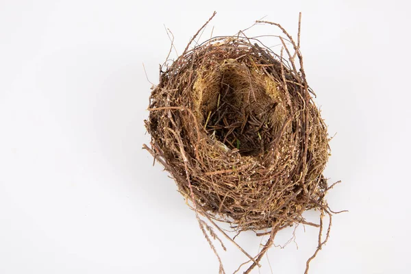 Small Bird Nest Isolated White Background — Stock Photo, Image