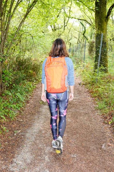 Женщина Сзади Спортивный Рюкзаком Позади Ходить Лесной Дорожке — стоковое фото