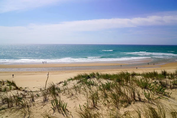 Piaszczysty Krajobraz Plaży Atlantyckiego Wybrzeża Francji — Zdjęcie stockowe