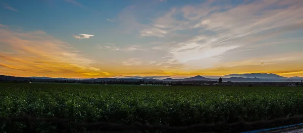 Terras agrícolas e vida urbana partilhando a terra . — Fotografia de Stock