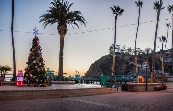 Avalon Πόλη Παραλία Μεγάλο Χριστουγεννιάτικο Δέντρο Και Φωτισμένοι Παλάμες Κατά — Φωτογραφία Αρχείου