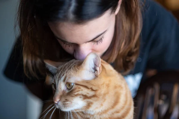 Πορτοκαλί Ριγέ Tabby Γάτα Χαριτωμένο Πρόσωπο Υπομένει Ένα Θηλυκό Μέλος — Φωτογραφία Αρχείου
