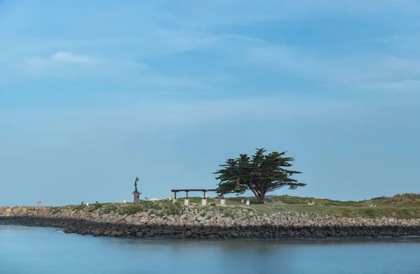 海岸線を木や彫像 ベンチで覆い 干潮時の岩の上の水線を示しています — ストック写真