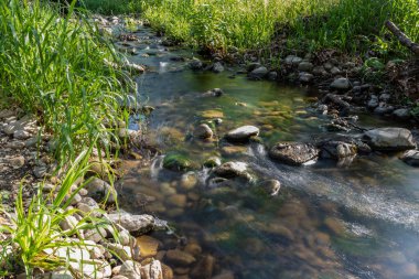 Kayaların arasından akan dere baharda Kaliforniya vadilerine hayat getirir..