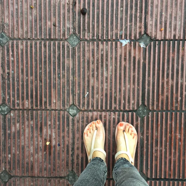 Woman Legs and Feet Stand on the Ground