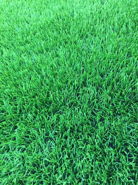Tekstura trawa zielona (tło) — Zdjęcie stockowe