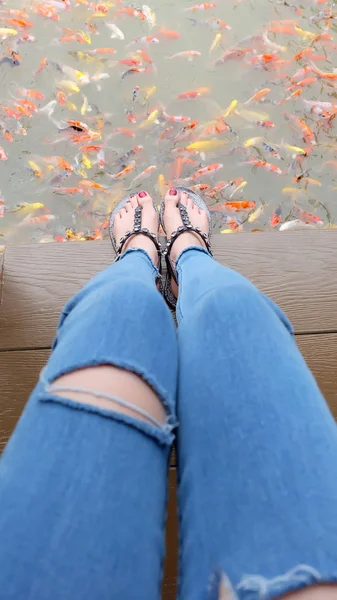De cerca en los pies de la muchacha con sandalias de plata y uñas rojas con carpa de lujo nadando en el fondo del estanque — Foto de Stock