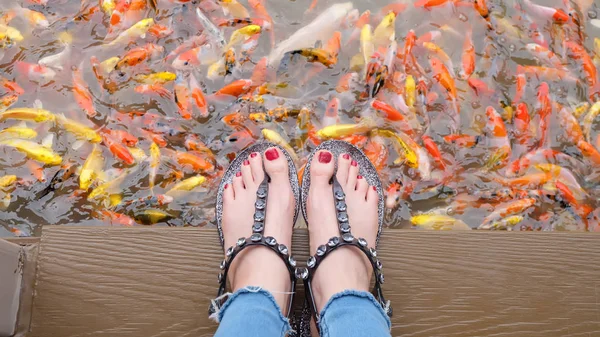 Close-up op meisje voeten dragen zilveren sandalen en rode nagels met mooie karper zwemmen in de vijver-achtergrond — Stockfoto