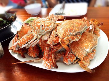 Deniz ürünleri, at yengeçler ahşap zemin üzerinde beyaz tabakta yerleştirilir