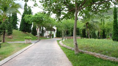 Sokak yol ormandaki ağaçlar doğanın yeşil arka plan