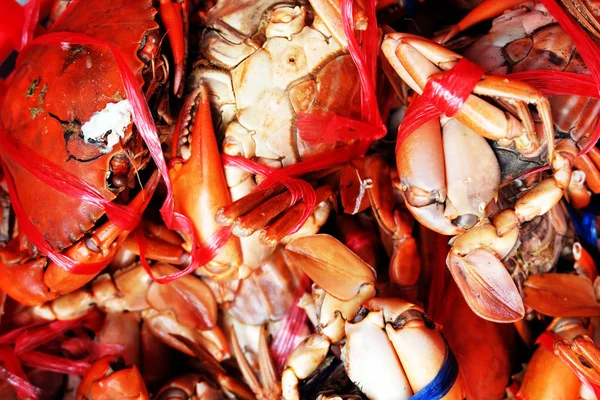 Cangrejos de barro frescos, cangrejo de mar con fondo natural en la cesta roja — Foto de Stock
